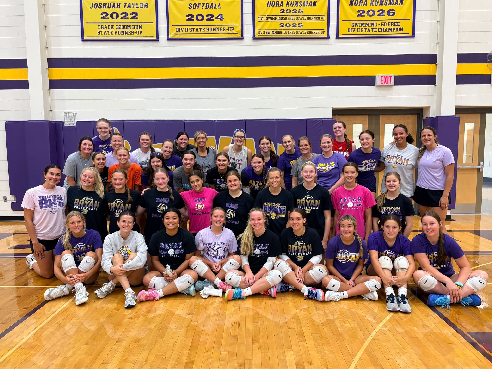 Volleyball image 4